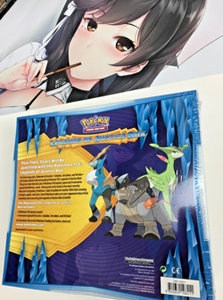 POKEMON LEGENDS OF JUSTICE BOX 2013 PLASMA STORM Boundaries Crossed Black White - Image 2