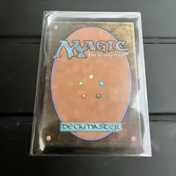 Delighted Halfling MTG LOTR: Tales of Middle-earth Regular NM - Image 4