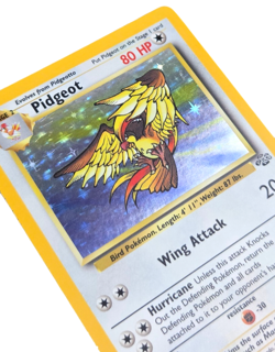 Pidgeot Holo Rare Unlimited 8/64 Jungle WOTC 1999 Pokemon TCG LP-NM - Image 3