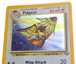 Pidgeot Holo Rare Unlimited 8/64 Jungle WOTC 1999 Pokemon TCG LP-NM - Image 4