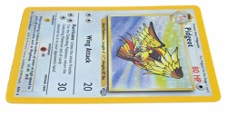 Pidgeot Holo Rare Unlimited 8/64 Jungle WOTC 1999 Pokemon TCG LP-NM - Image 5