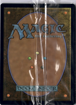 Terramorphic Expanse MINT* FOIL Secret Lair ENGLISH 585 mtg -UnltdCards - Image 2