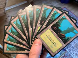 10x German Fbb Forest • NM • Basic Land Mtg - Image 1