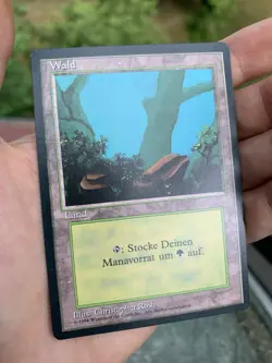 10x German Fbb Forest • NM • Basic Land Mtg - Image 4