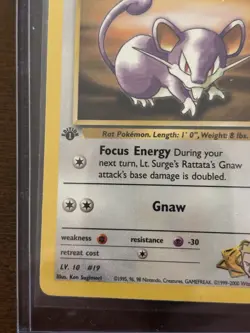 Pokemon TCG Gym Challenge 1st Edition Lt. Surge's Rattata Koga's Weedle Lot 2 - Image 5