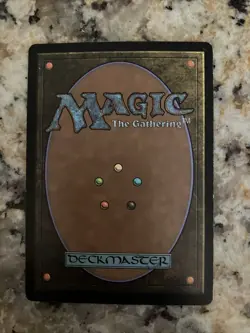 MTG Sungrass Prairie Odyssey Rare 1993-2001 Wizards Of The Coast 328/350 - Image 2