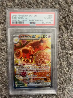 2024 Pokemon Stellar Crown Dachsbun Ex Special Illustration Rare #169/142 PSA 10 - Image 1