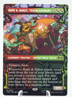 Raph & Mikey, Troublemakers (Showcase) [Teenage Mutant Ninja Turtles] M/NM - Image 1