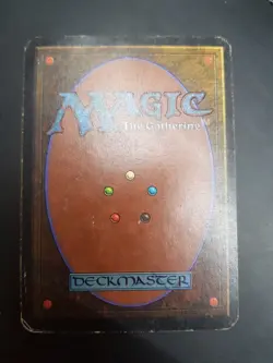 ALPHA Island, Original Basic Land, Oldschool Rare Magic Mtg Karten Sammlung - Image 2