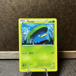 Pokemon Lotad (23/30) XY Trainer Kit Latias - Image 1