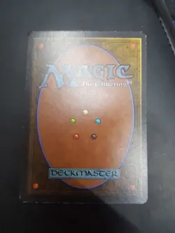 J ihad, Arabian Nights Oldschool Rare Magic Mtg Karten Sammlung - Image 2