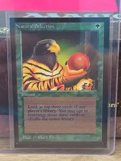 Natural Selection Collectors' Edition NM (Reserved List MTG Magic Card) (501677) - Image 1