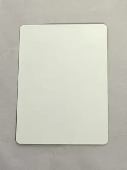 MTG Dowsing Shaman Artist Proof and Signature Signed Reynolds - Image 2