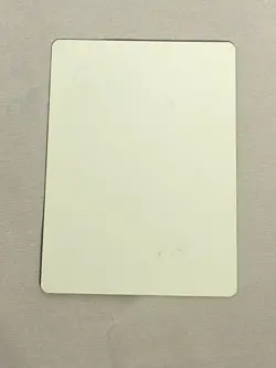 MTG Black Poplar Shaman Artist Proof and Signature Signed Poole - Image 2