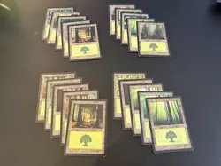Old Border Basic Lands Forest MTG Lot x20 (MP-LP) - Image 1