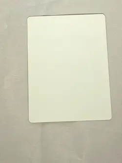 MTG Parallel Evolution Artist Proof and Signature Signed Cavotta - Image 2