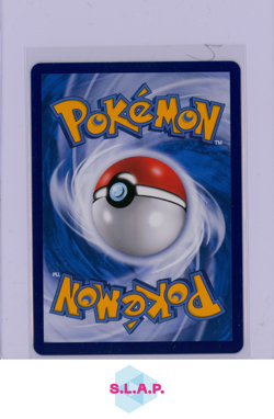 FRIENDS IN ALOLA POKEMON 081/S-P 2023 PROMO - CHINESE - Image 2