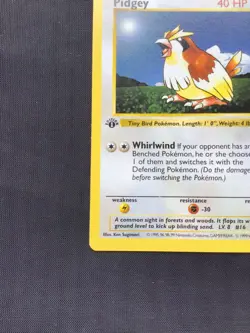 Pokemon Cards: Base Set 1st Edition Common: Pidgey 57/102 - Image 5