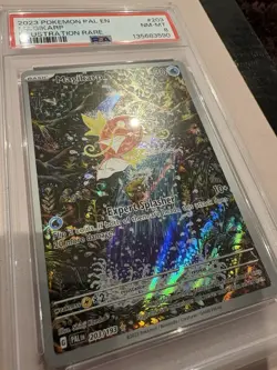 PSA 8 NM-MT Magikarp 2023 Paldea Evolved 203/193 Pokemon Card - Image 4