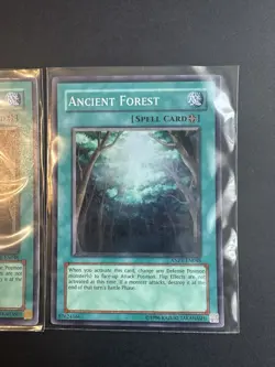 Yugioh 3x Ancient Forest ANPR-EN048 Super Rare 2x 1st Ed/1x Unlimited Near Mint - Image 4