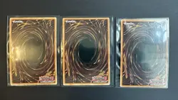 Yugioh 3x Ancient Forest ANPR-EN048 Super Rare 2x 1st Ed/1x Unlimited Near Mint - Image 5