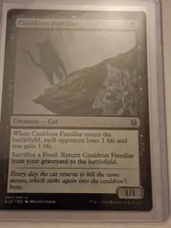 Cauldron Familiar Throne of Eldraine Regular - Image 1