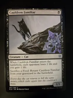Cauldron Familiar NM Throne of Eldraine MTG FREE SHIPPING - Image 1