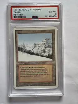 1994 Magic: The Gathering Taiga Revised PSA 6 Graded Card - Image 1