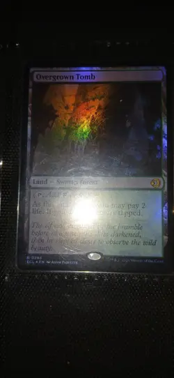 Mtg Foil Nm Overgrown Tomb Lorwyn Eclipsed Rare - Image 1