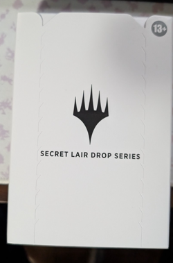 Magic The Gathering Secret Lair Dan Frazier is Back - The Enemy Signets Foil - Image 2