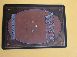 Misty Rainforest Zendikar Regular - Image 2