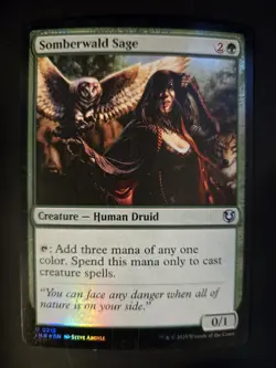 Somberwald Sage NM FOIL Innistrad: Remastered MTG FREE SHIPPING - Image 1
