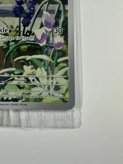 Pokemon Charmander Scarlet & Violet: Black Star Promo Holo #044 Sealed - Image 5