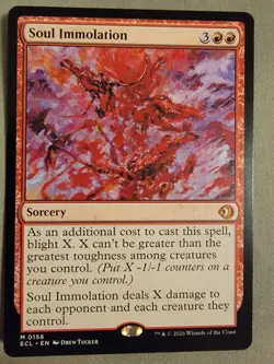 BRAND NEW Magic The Gathering: Soul Immolation Lorwyn Eclipsed Regular - Image 1