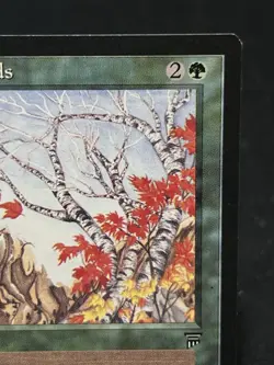 Untamed Wilds - Legends ~LP~ Magic The Gathering MTG - Image 4