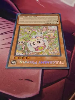 TCG Yu-Gi-Oh: Mulcharmy Meowls SUDA-EN025 Supreme Darkness 1st Edition - Image 3