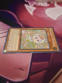 TCG Yu-Gi-Oh: Mulcharmy Meowls SUDA-EN025 Supreme Darkness 1st Edition - Image 5