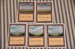 Magic the Gathering - Vintage - Plains Land Mana - 4th Edition - 5x - Image 1