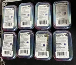 Pokemon TCG Prismatic Evolutions Mini Tin Complete Set - 8 Factory Sealed Tins - Image 2