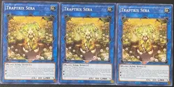 Traptrix Sera SDBT-EN044 Beware of Traptrix 1st Edition (x3) Yugioh - Image 1