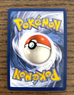 Pokemon Stellar Crown - TERAPAGOS EX - SPECIAL ILLUSTRATION RARE - 170/142 - NM - Image 2
