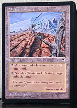 MTG 🪄 Wasteland ✨ Tempest 🔮 Magic the Gathering LAND - Image 1