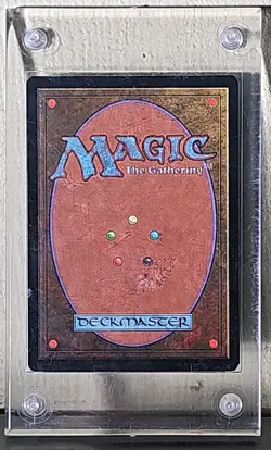 MTG 🪄 Wasteland ✨ Tempest 🔮 Magic the Gathering LAND - Image 4