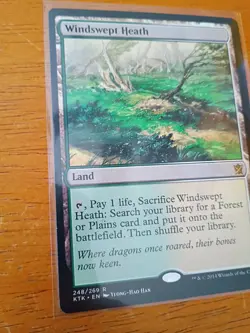 Windswept Heath Khans of Tarkir Regular - Image 3