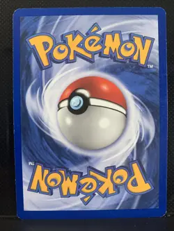 Pokemon Neo Discovery Teddiursa TCG Card 65/75 Regular Miki Tanaka Vintage - Image 3