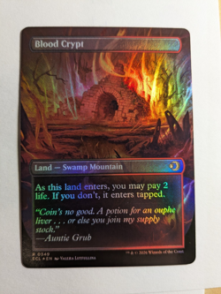 Blood Crypt 349 Lorwyn Eclipsed Reversible Shockland Borderless FOIL MtG - Image 2