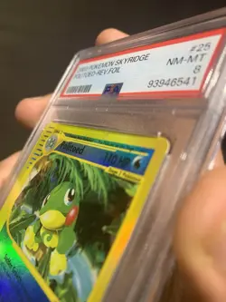 Politoed Skyridge 25/144 Reverse Holo Pokemon PSA 8 2003 Mark On Slab Not Card - Image 2