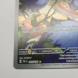 Pokemon Rookidee 225/193 Sv02: Paldea Evolved Illustration Rare Holo 60 HP - Image 3