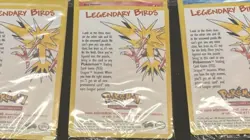 SEALED Pokemon Legendary Birds WOTC Promo 3 Card Set Zapdos Articuno Moltres - Image 2