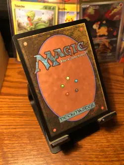 Evolving Wilds || 0306 || Land || MTG: Lord of the Rings Commander || NM - Image 2